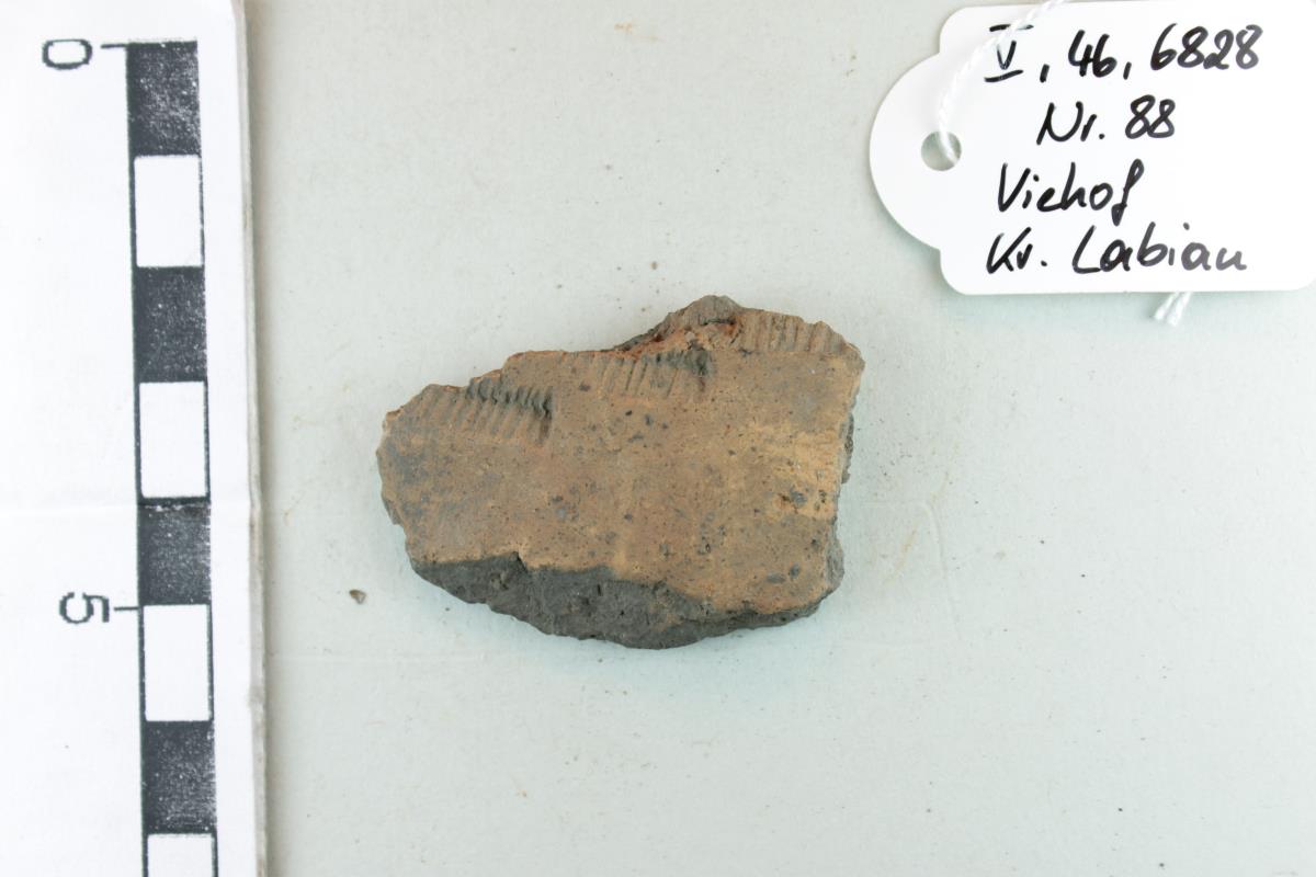 Gefäßfragment