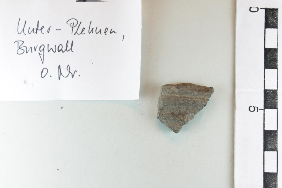 Gefäßfragment