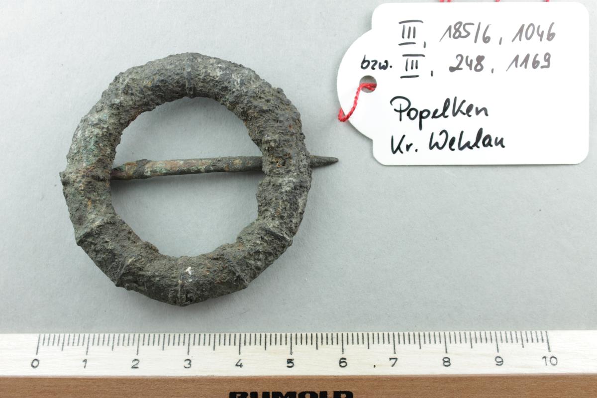 Ringfibel