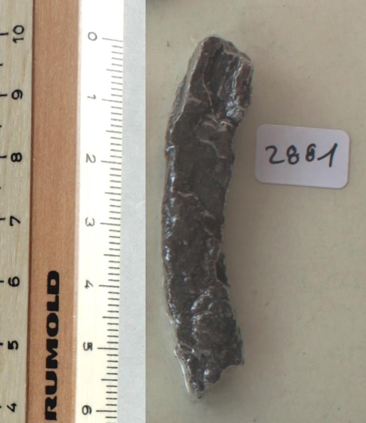 Steigbügelfragment
