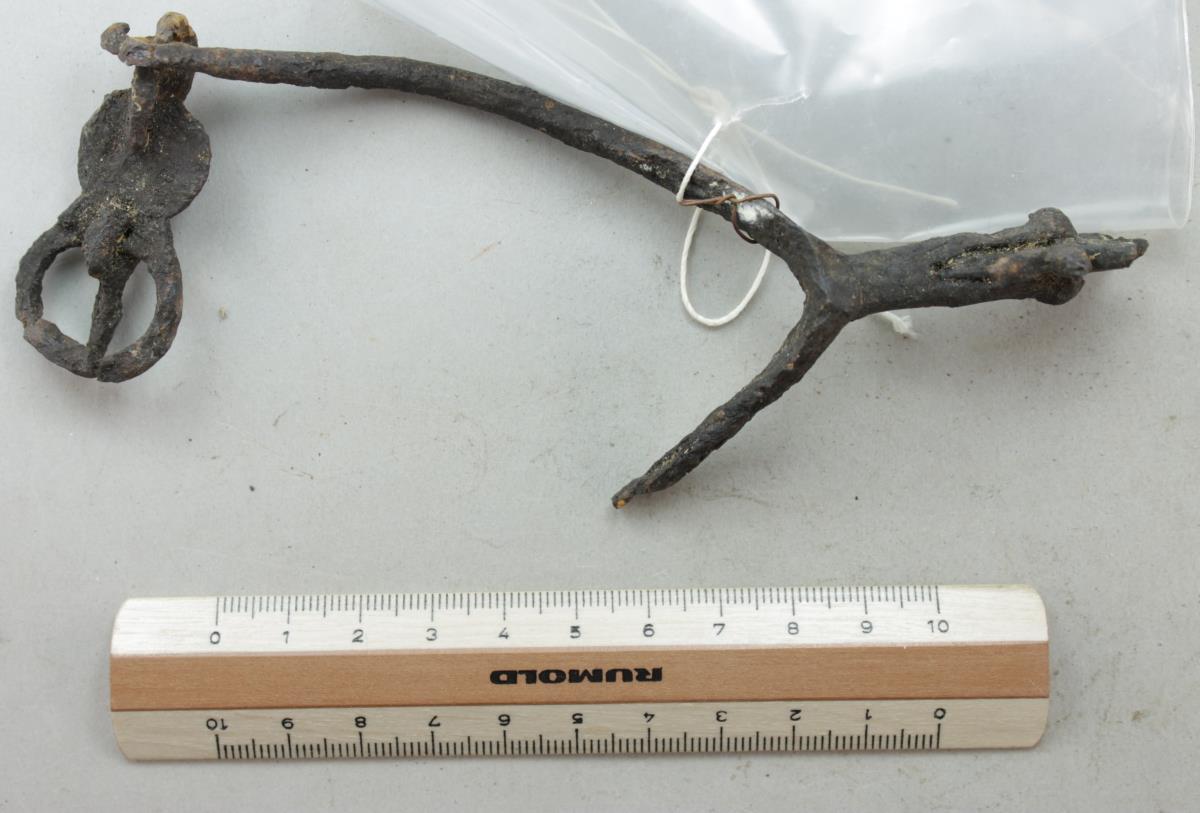 Radsporn