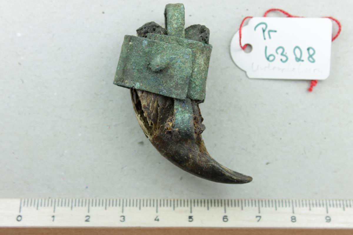 Bärenkrallenamulett