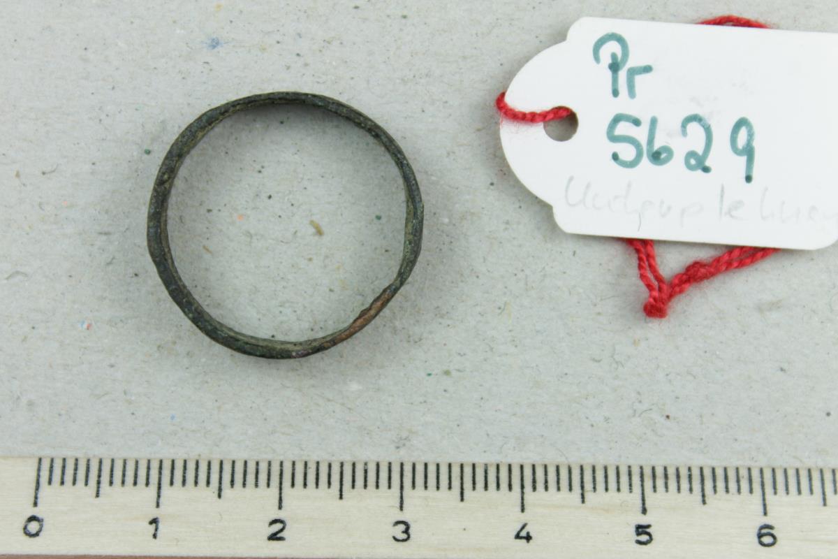Fingerring