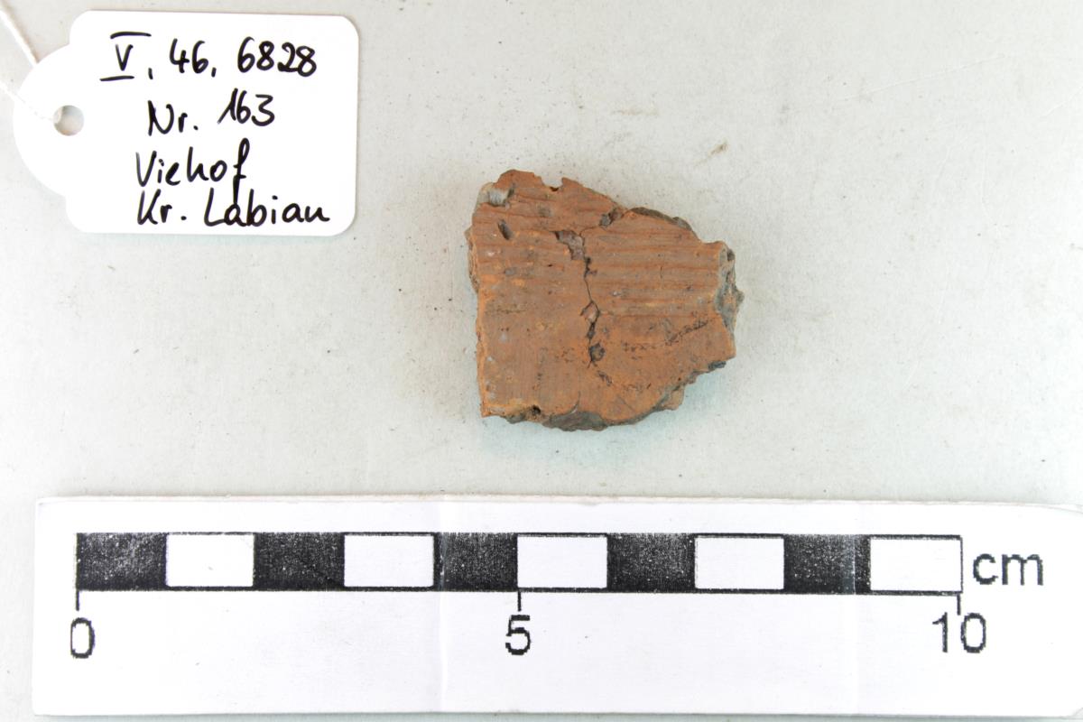 Gefäßfragment