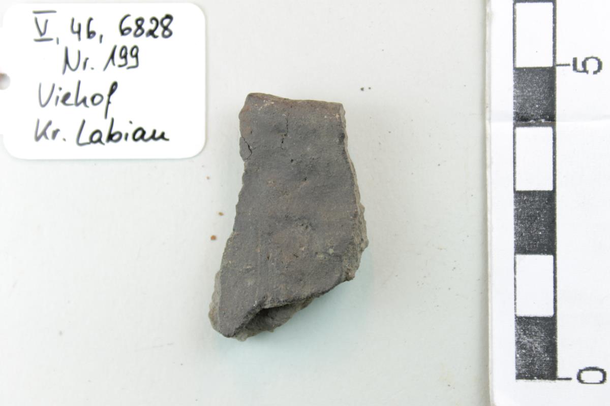 Gefäßfragment