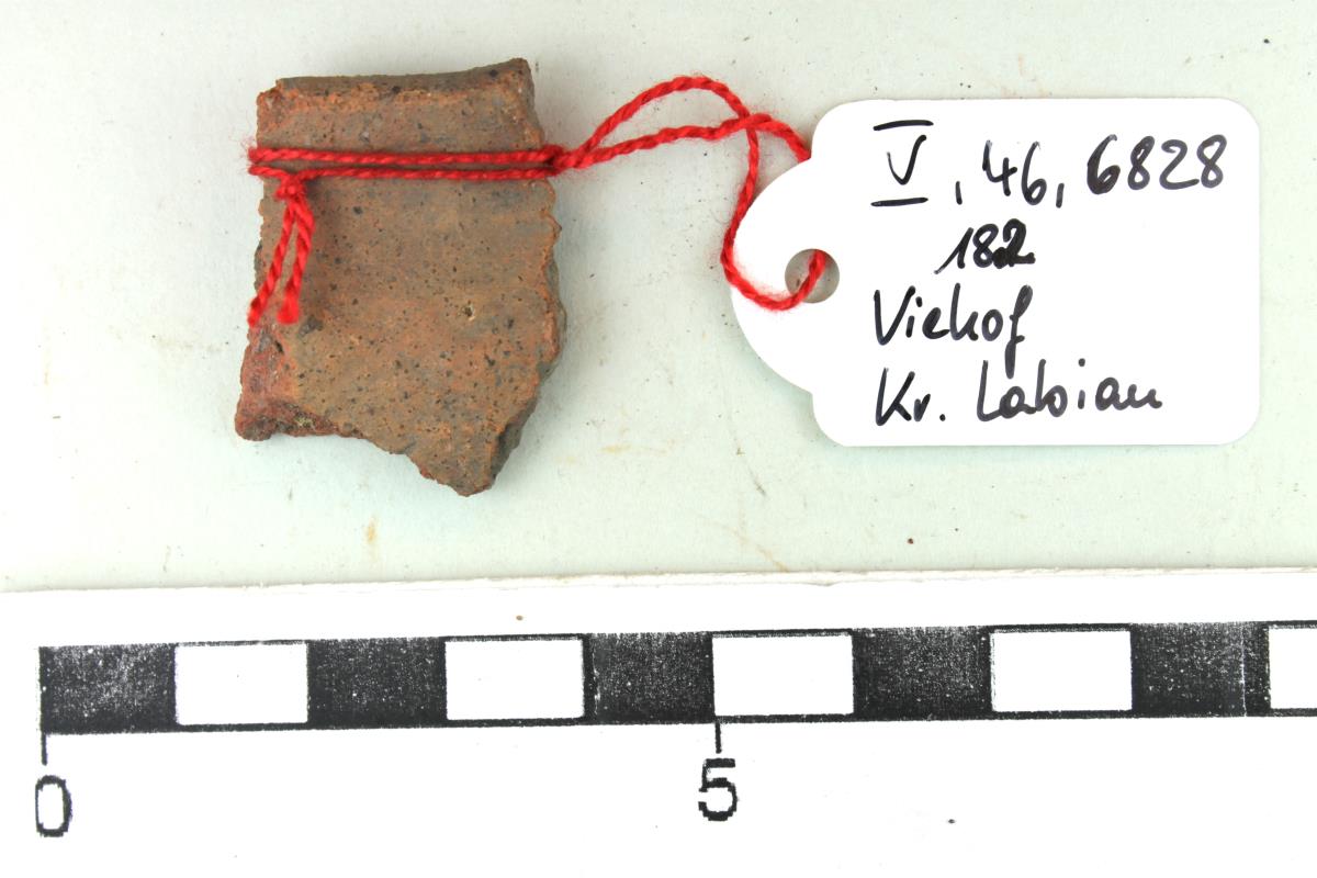 Gefäßfragment