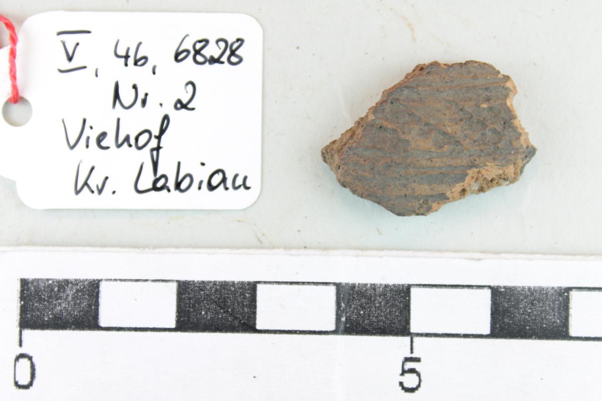 Gefäßfragment