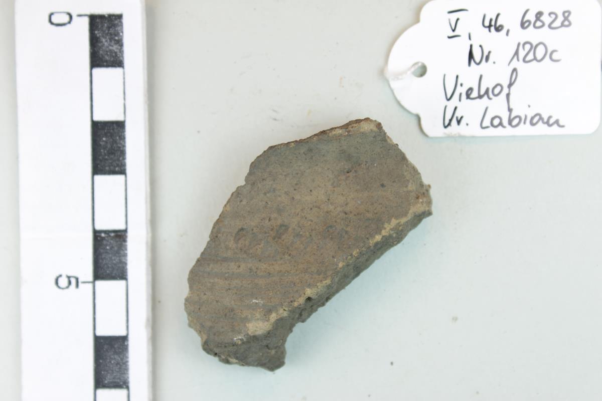 Gefäßfragment