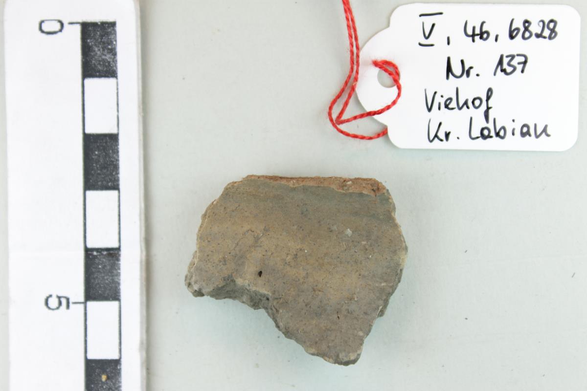 Gefäßfragment