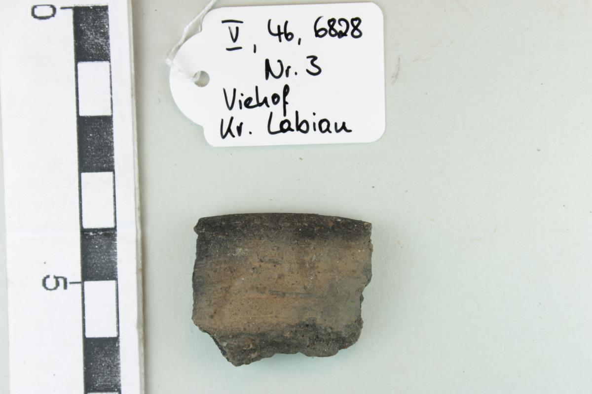 Gefäßfragment
