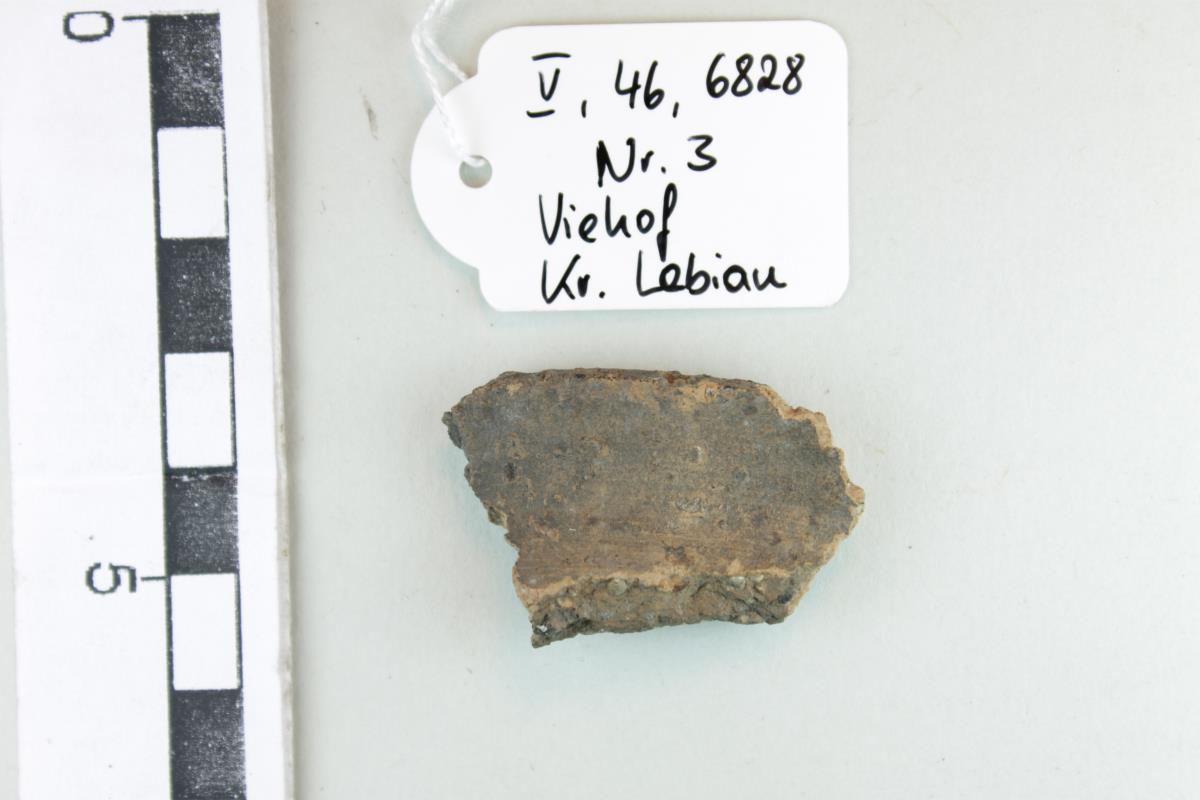 Gefäßfragment