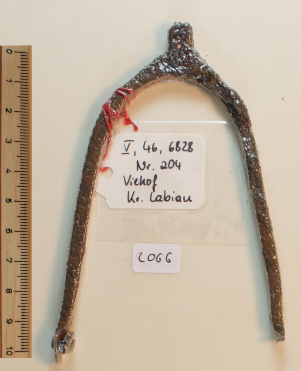 Stachelsporn