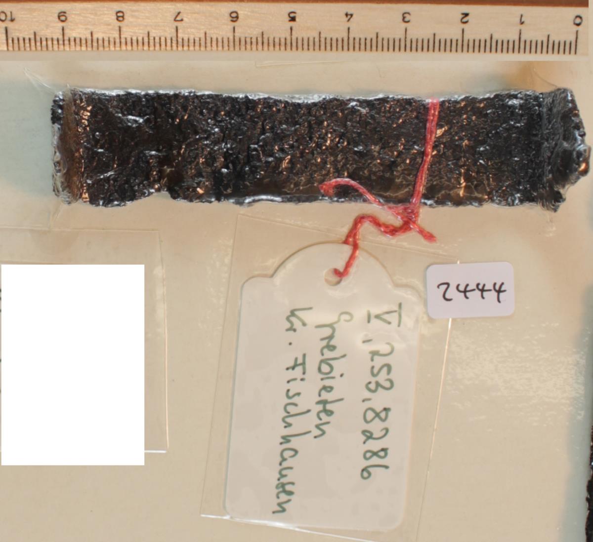 Steigbügelfragment