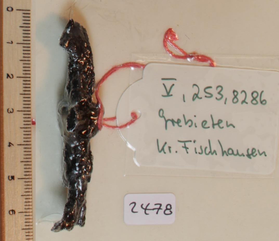 Steigbügelfragment