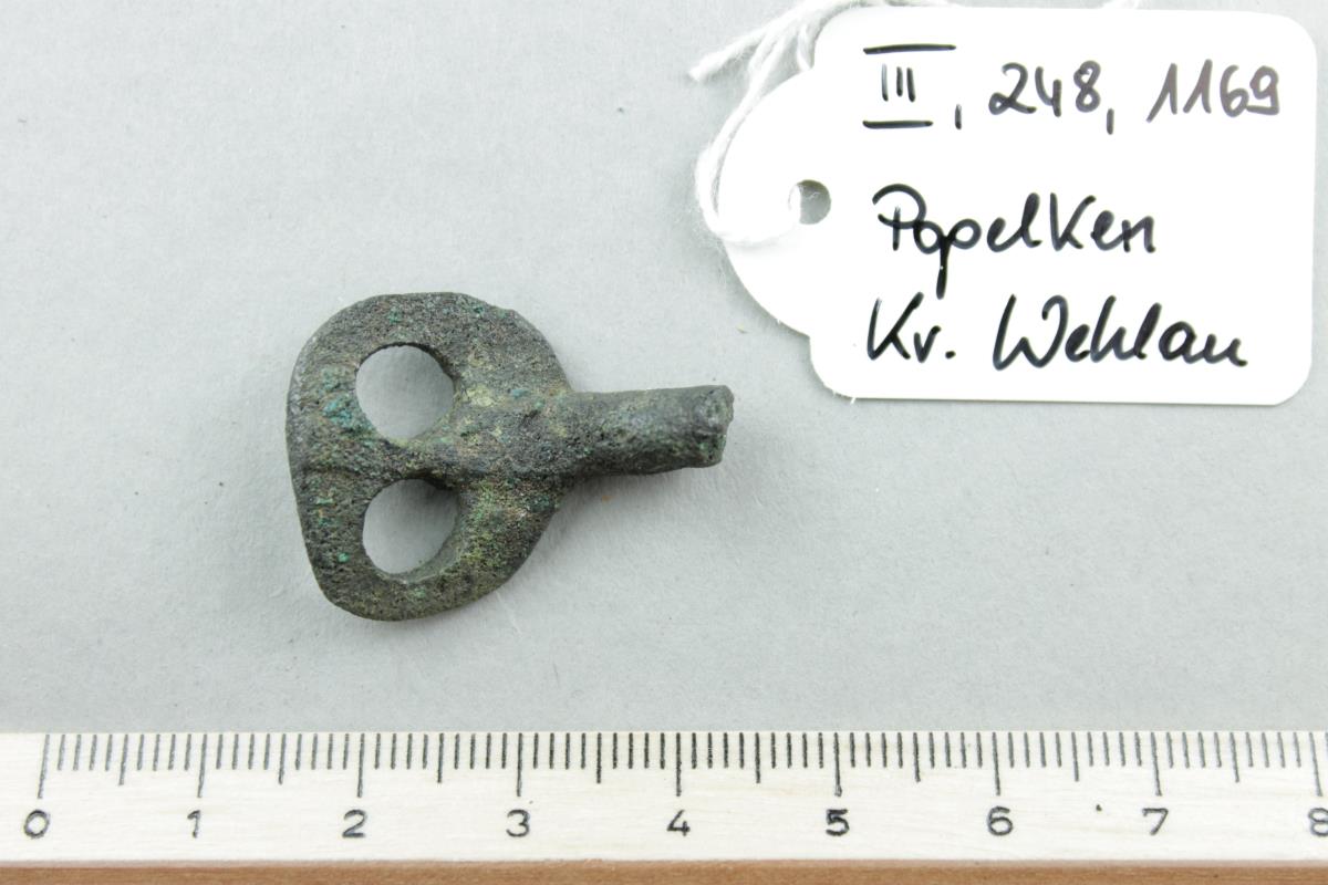 Stachelspornfragment