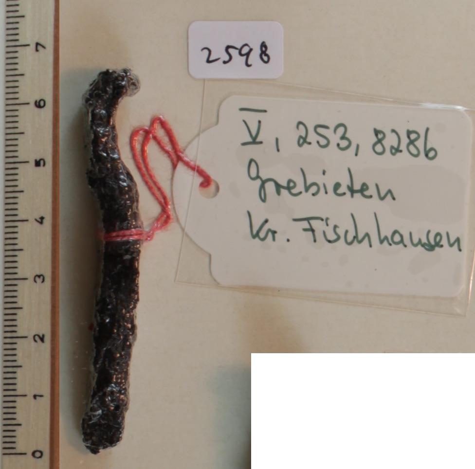Trensenfragment