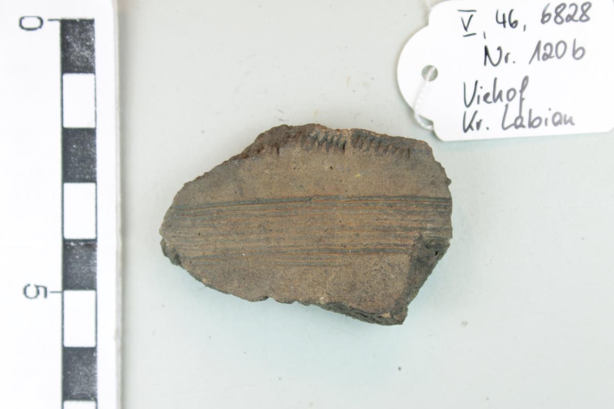 Gefäßfragment