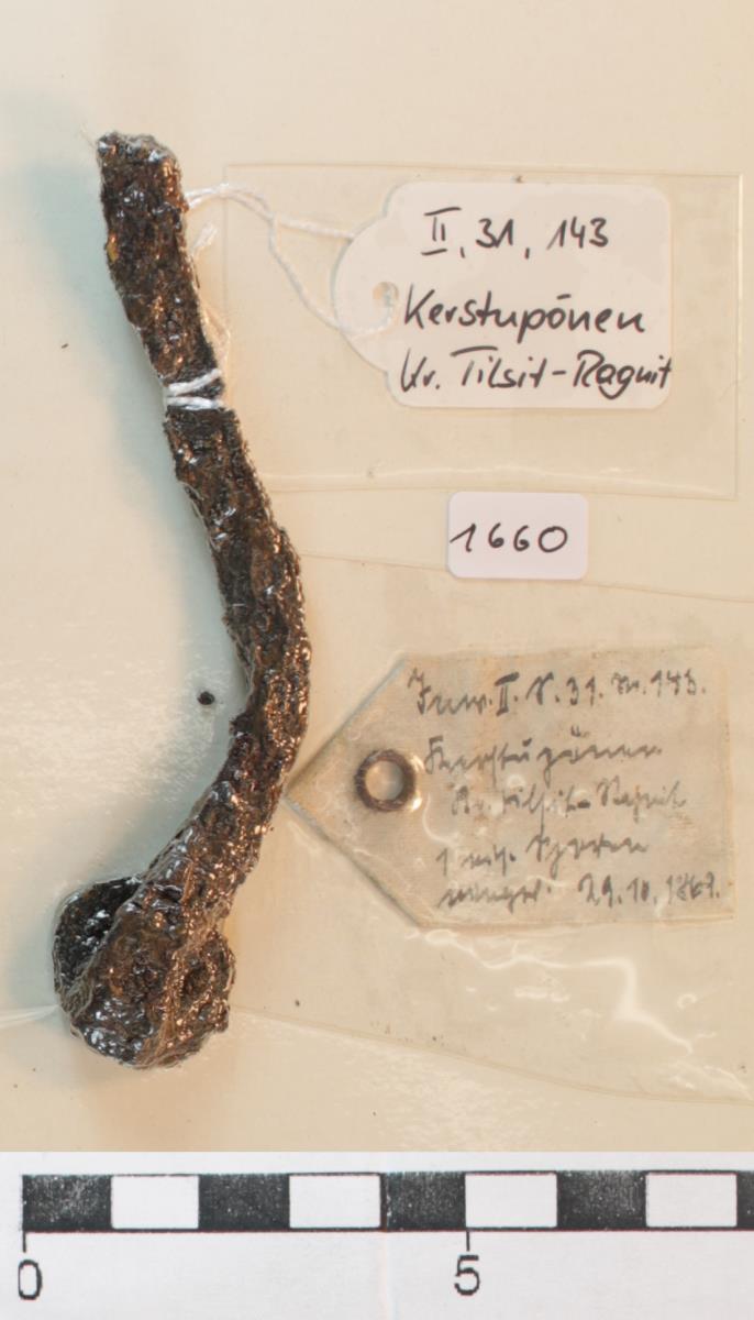 Stachelspornfragment