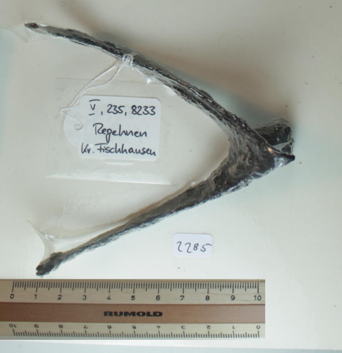 Radsporn