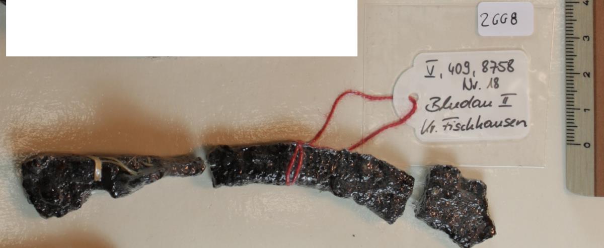 Steigbügelfragment