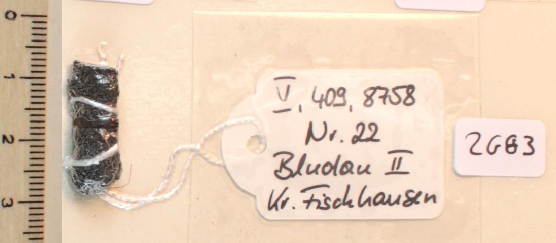 Gürtelschnallenfragment