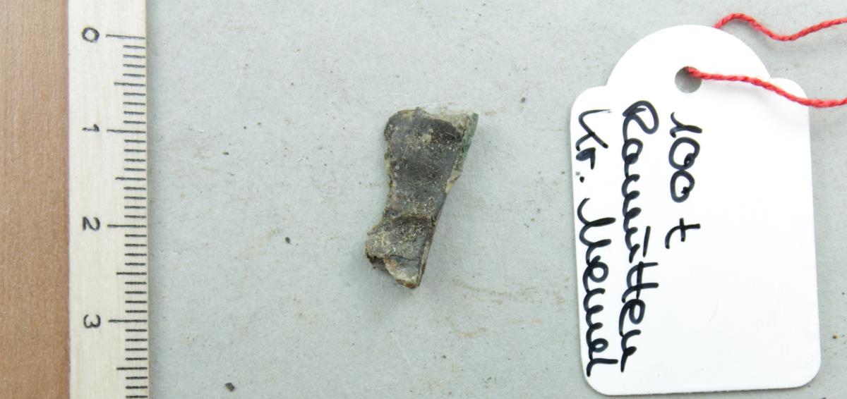 Gürtelriemenfragment
