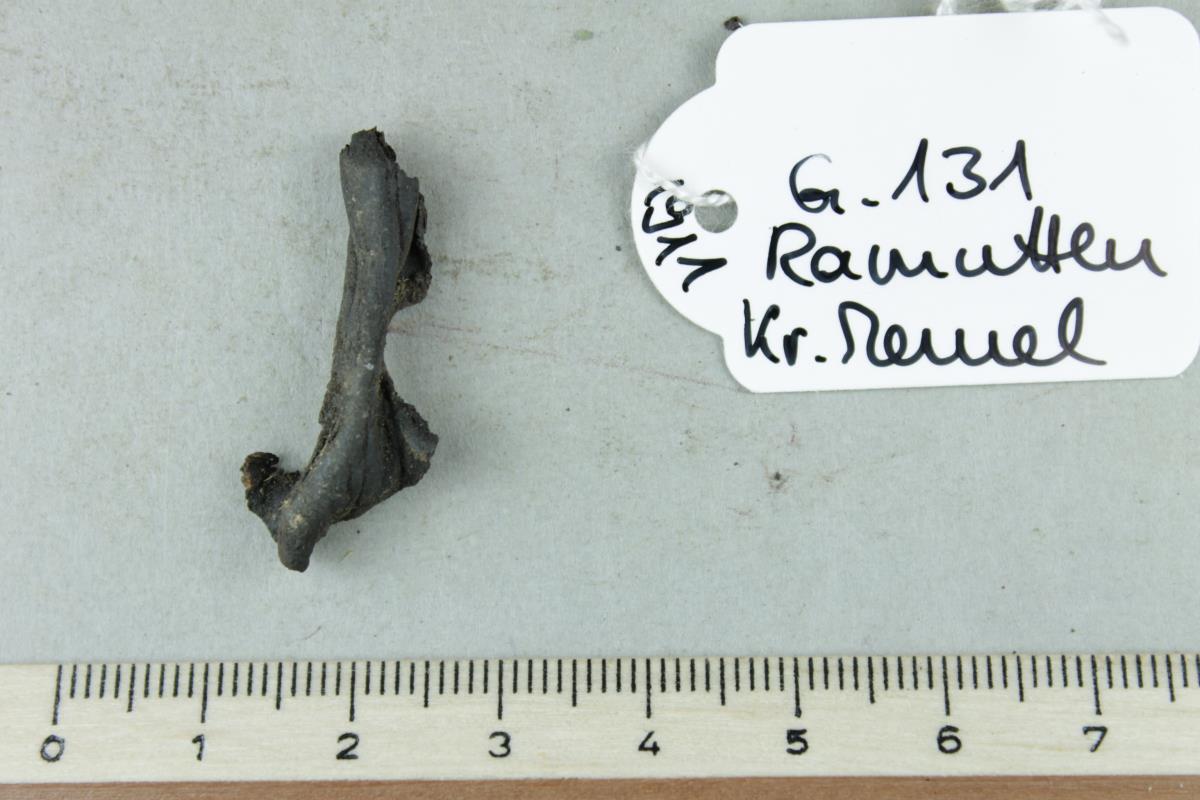 Gürtelriemenfragment