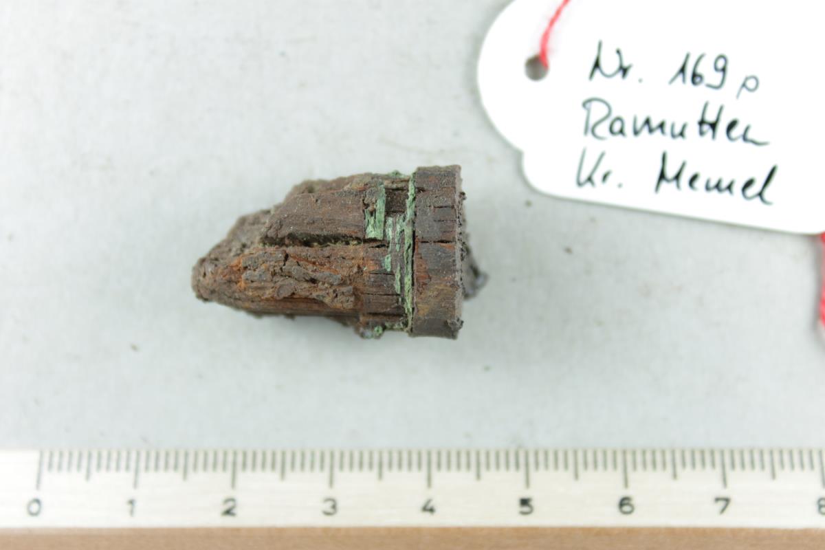 Holzstab mit Resten von Bronzeringen