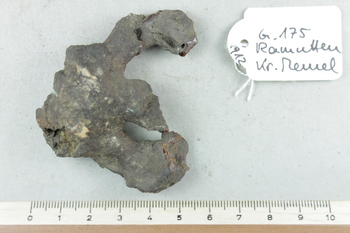 Ringtrensenfragment