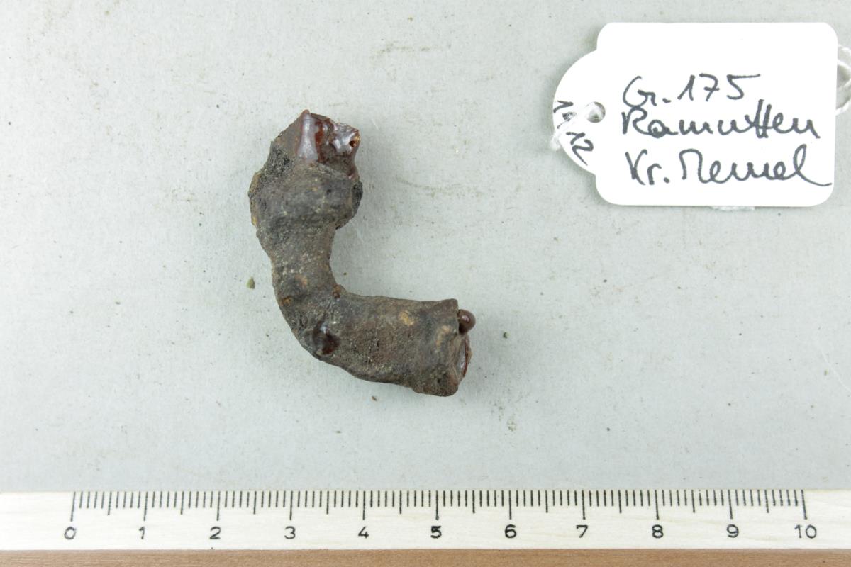 Ringtrensenfragment