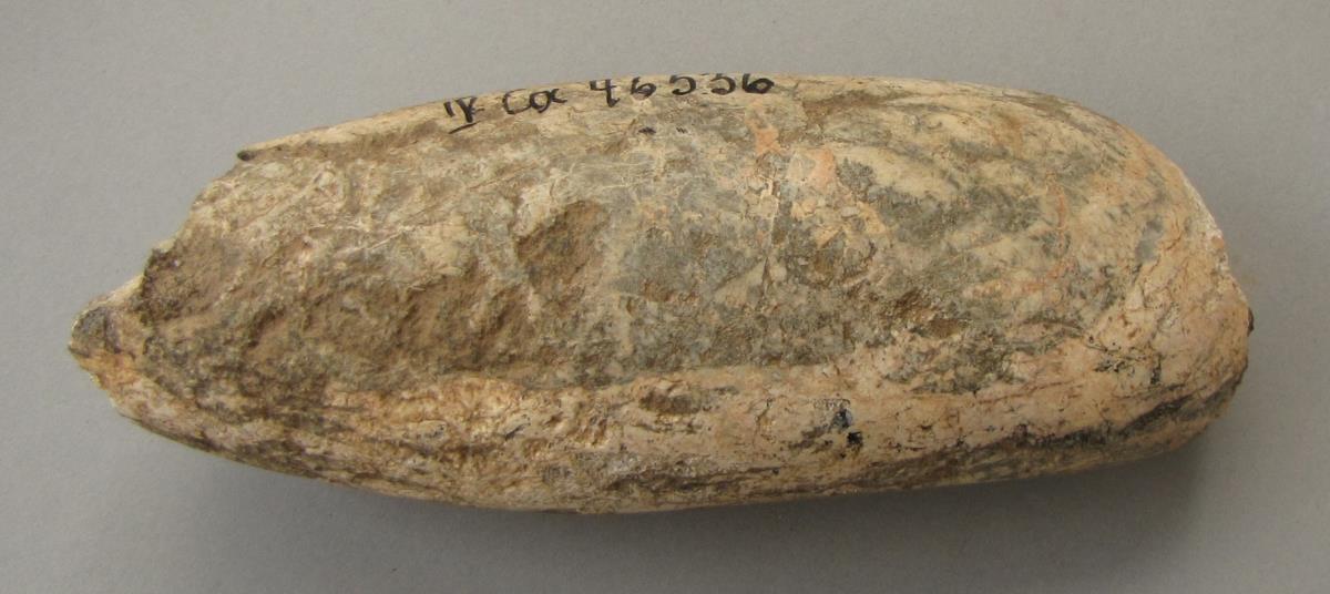IV Ca 46536