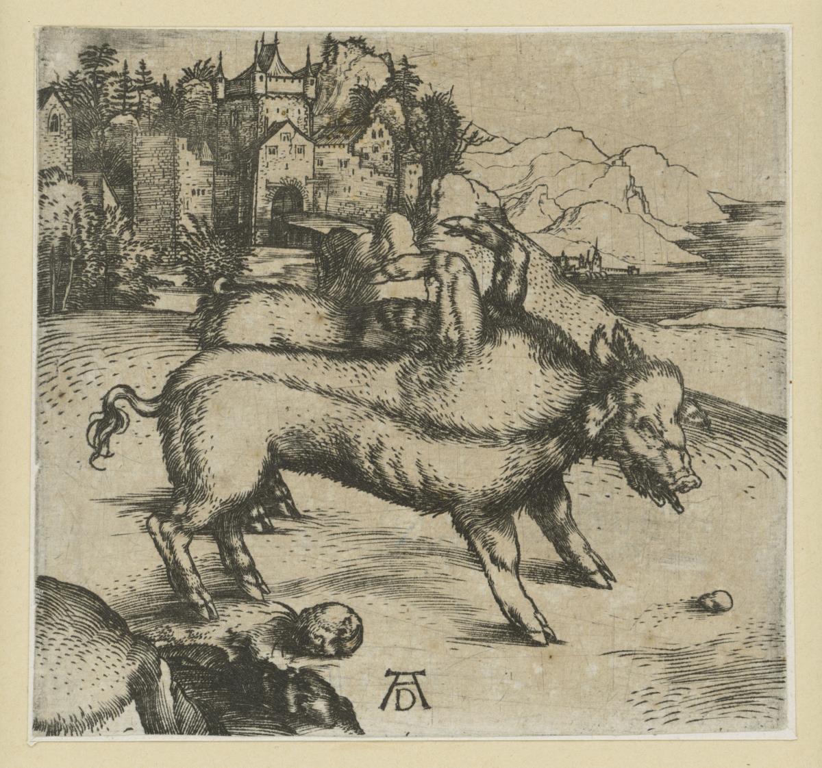 Die Mißgeburt eines Schweins