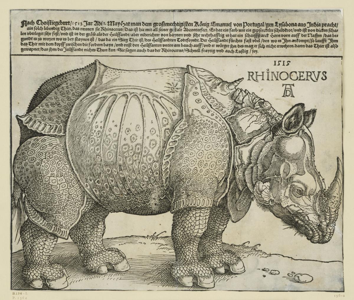 Das Rhinozeros