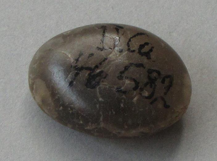 IV Ca 46582