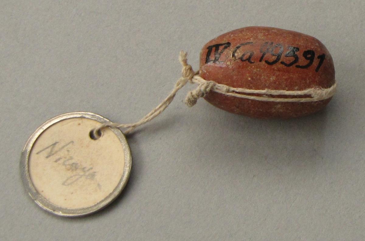 IV Ca 49391