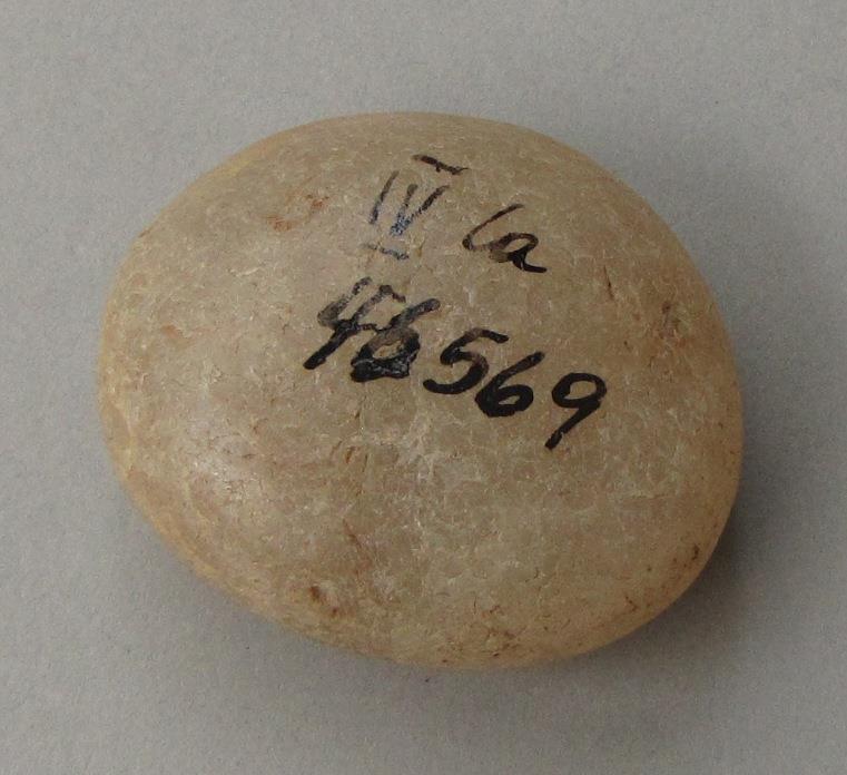 IV Ca 46569