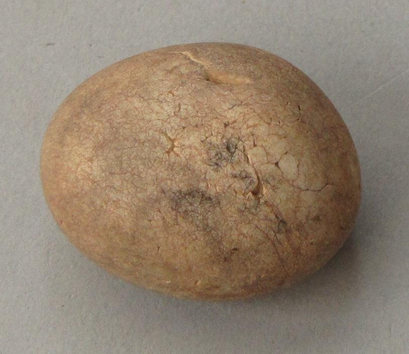 IV Ca 46577