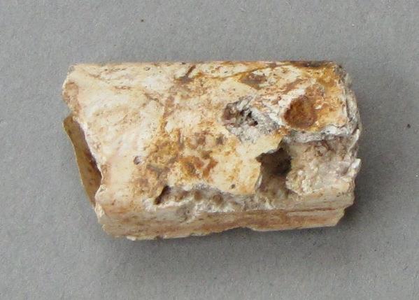 IV Ca 49618 a