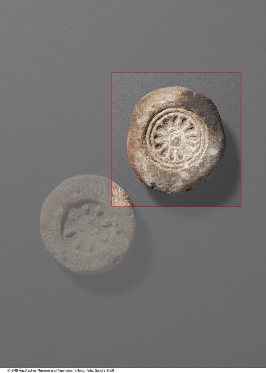 Model für eine Rosette