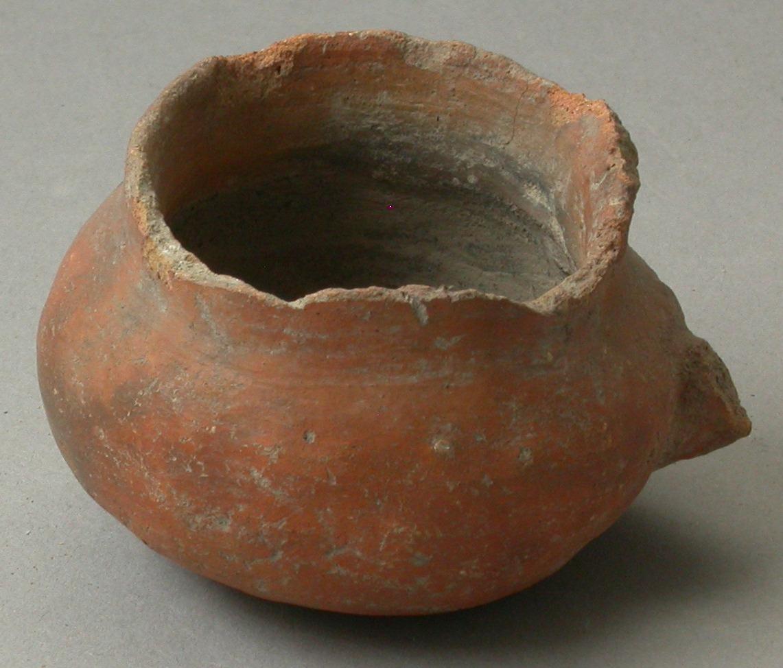 IV Ca 2202