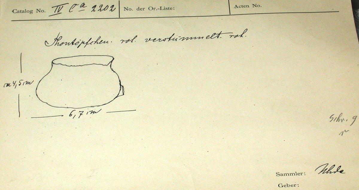 IV Ca 2202