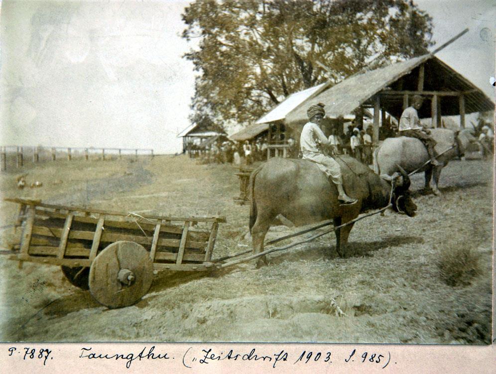 Ochsenkarren