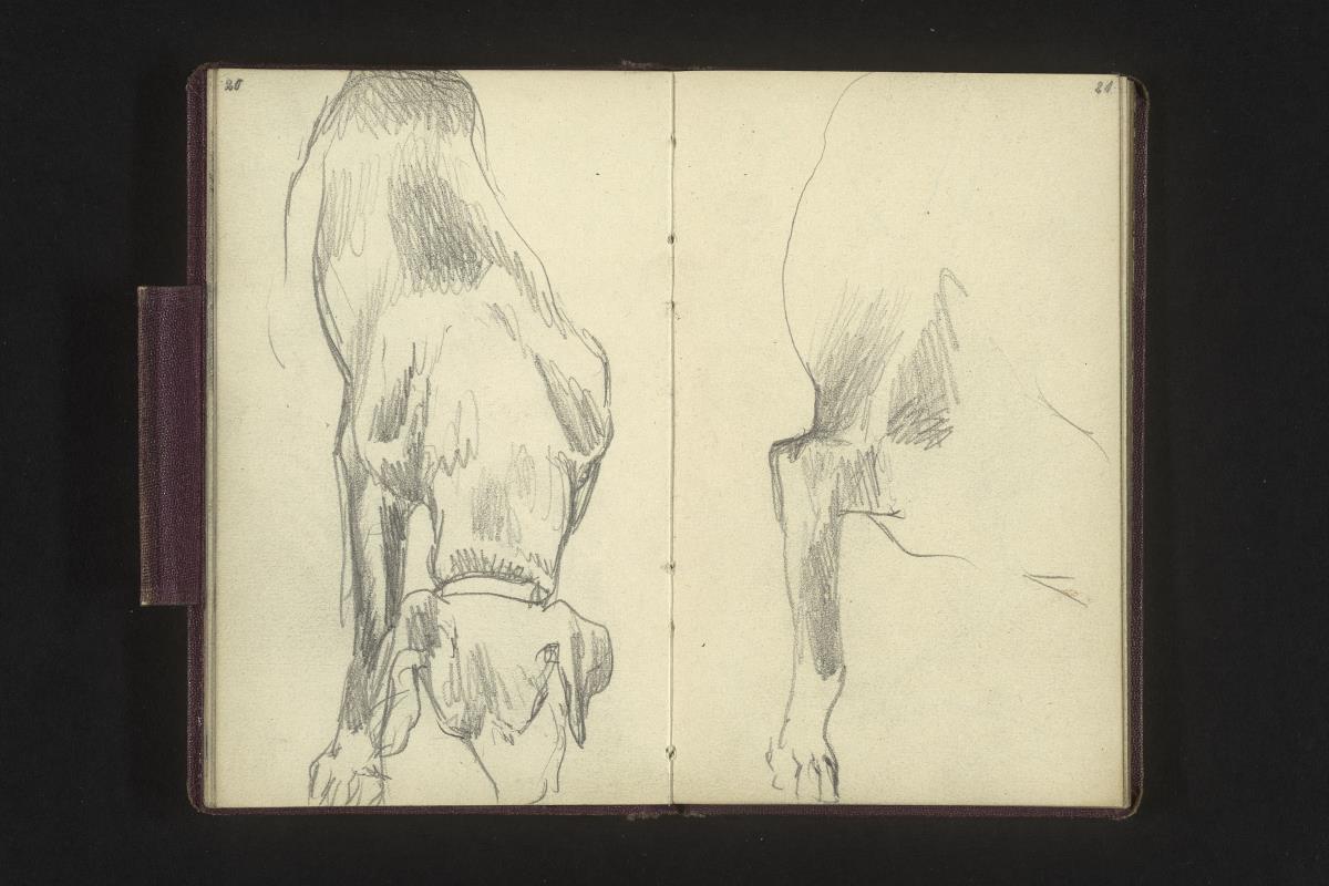 Hundestudie