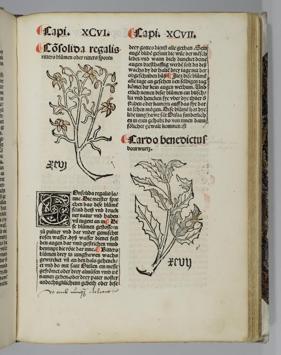Johannes de Cuba: Gart der Gesundheit. [Basel: Michael Furter].