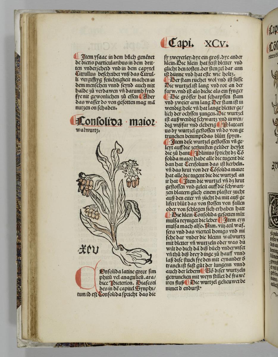Johannes de Cuba: Gart der Gesundheit. [Basel: Michael Furter].