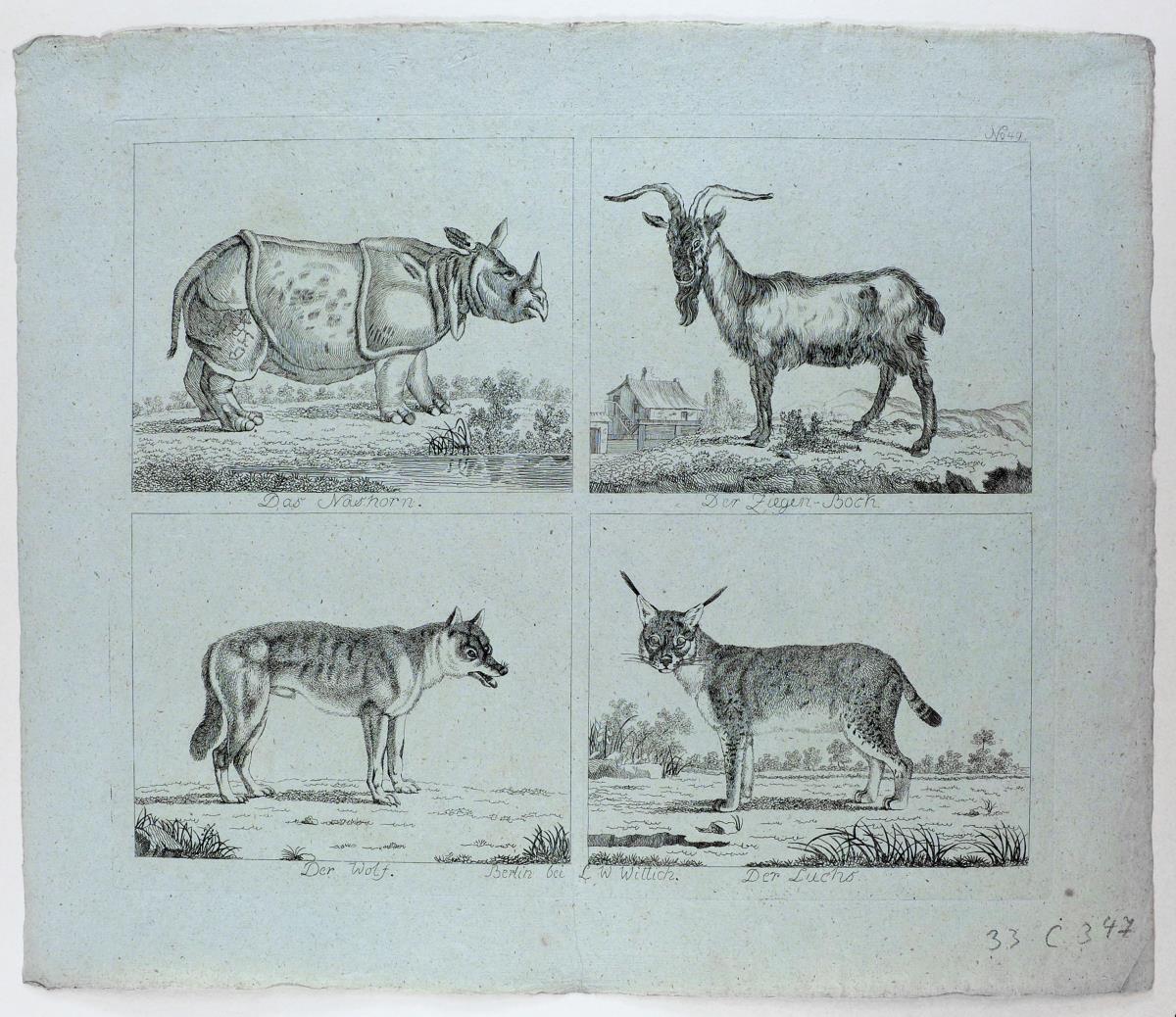 [Tiere] Das Nashorn. Der Ziegen-Bock. Der Wolf. Der Luchs.