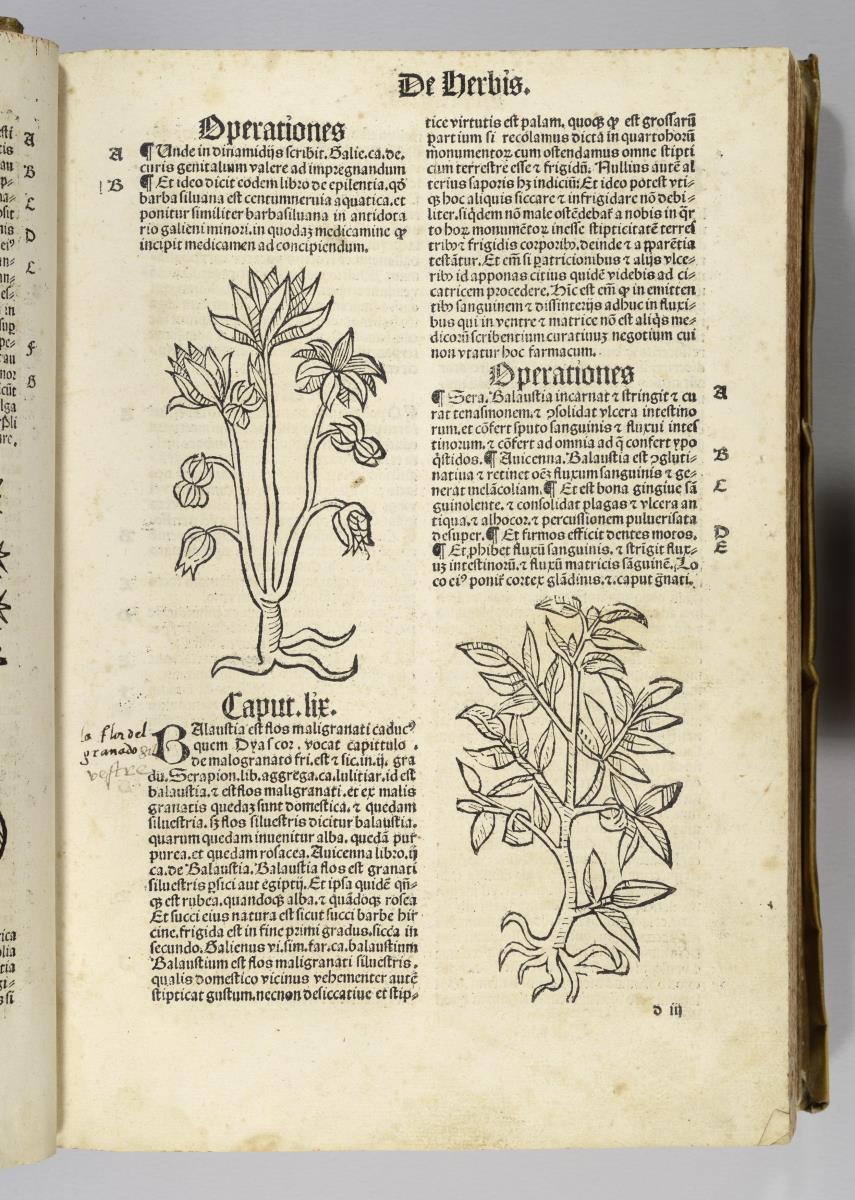Joh. Cuba: (H) Ortus sanitatis. Reinhard Beck: Strassburg 1517
