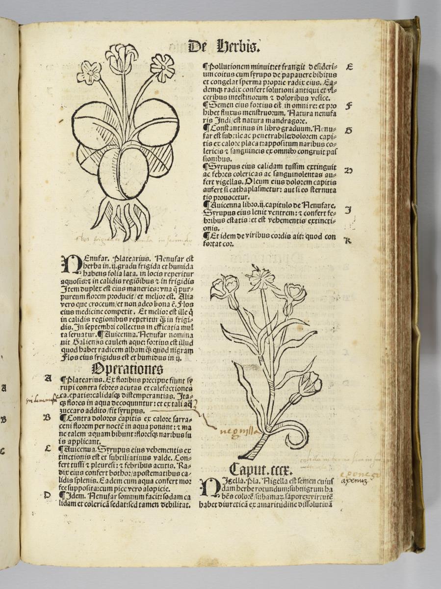 Joh. Cuba: (H) Ortus sanitatis. Reinhard Beck: Strassburg 1517
