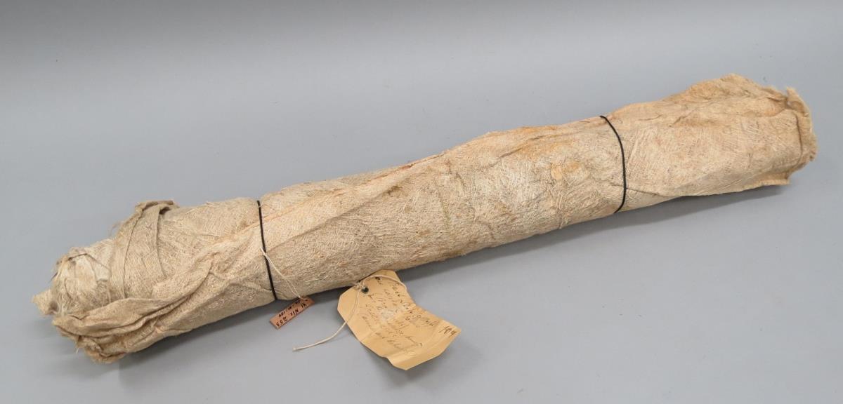VI Nls 253