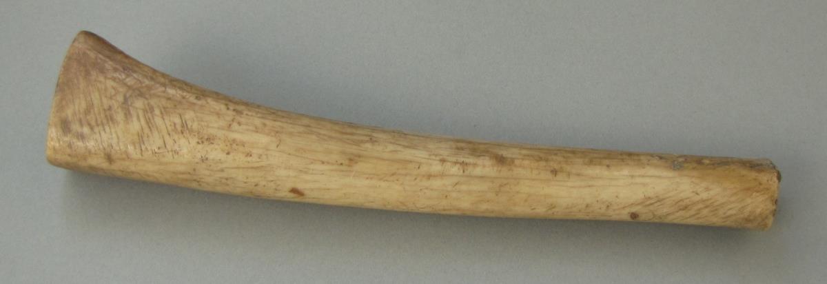 IV Ca 1668